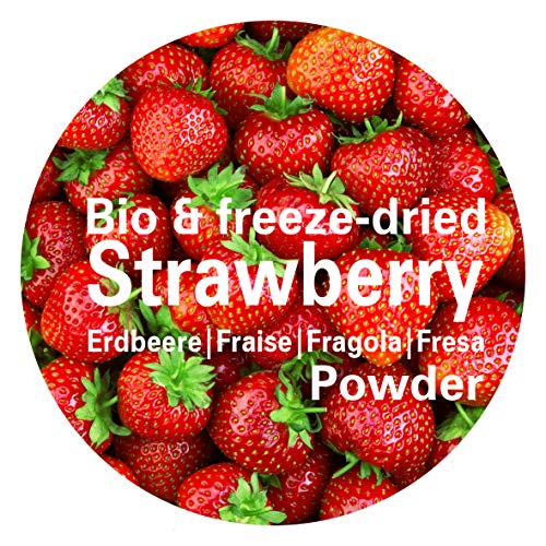 Fresa en Polvo - Liofilizado|biológico|vegano|crudo|pura fruta|no aditivo|rica en vitamina|Good Nutritions 120g