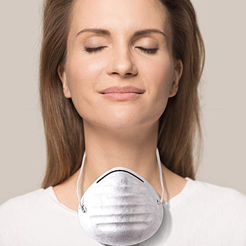 gridinlux. Generador de Ozono Aire y Agua, Dispositivo Purificador, Esterilizador Purificador, Ozonizador doméstico, Portátil