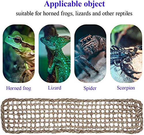 GZGZADMC Lagarto Reptile Mat, Hamaca de Dradón Barbudo Fibras de pasto marino Natural Tumbona Reptil Fibras Natural Seagrass Tumbona para Anoles Dragones Barbudos Geckos Iguanas-75 x 18 cm