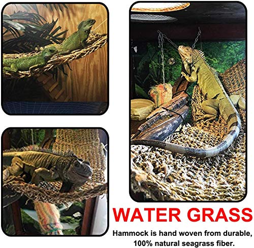 GZGZADMC Lagarto Reptile Mat, Hamaca de Dradón Barbudo Fibras de pasto marino Natural Tumbona Reptil Fibras Natural Seagrass Tumbona para Anoles Dragones Barbudos Geckos Iguanas-75 x 18 cm