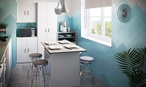 Habitdesign 005149O - Mueble Armario Multiusos bajo 2 Puertas, Color Blanco, Medidas: 59 cm (Largo) x 80 cm (Alto) x 37 cm (Fondo)