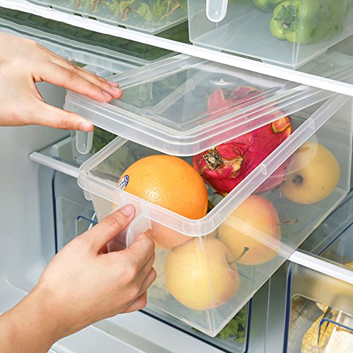 HapiLeap Organizador de Alimentos para Cocina/Congelador, contenedor Transparente con Tapa y Asa (3 Pack)