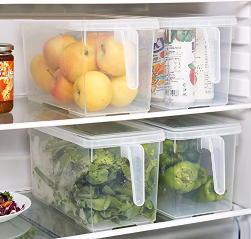 HapiLeap Organizador de Alimentos para Cocina/Congelador, contenedor Transparente con Tapa y Asa (4 Pack)