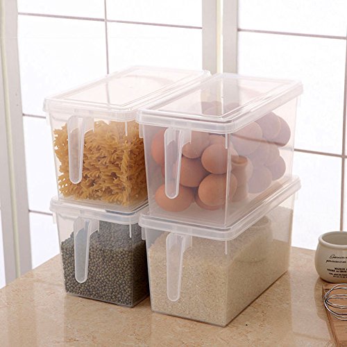 HapiLeap Organizador de Alimentos para Cocina/Congelador, contenedor Transparente con Tapa y Asa (4 Pack)