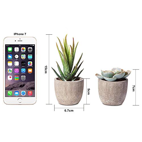 HB life 5 Piezas Plantas Suculentas Artificiales Plastico Maceta Decorativas, Plantas Artificiales Verdes para Casa, Cocina, Jardín Hogar Oficina Decoración