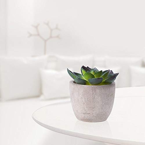 HB life 5 Piezas Plantas Suculentas Artificiales Plastico Maceta Decorativas, Plantas Artificiales Verdes para Casa, Cocina, Jardín Hogar Oficina Decoración
