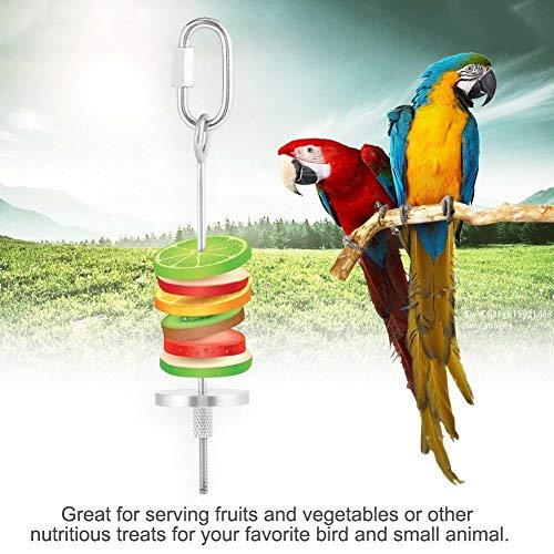 HEEPDD Pincho de Loro, Acero Inoxidable Loro Fruta Vegetal Carne Alimento Complemento para palitos Pequeño Animal Jaula de Jaula de forraje Juguete de forraje de Loros Herramienta de Tratamiento (L)