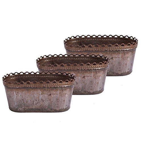 Home&Decorations Juego de 3 Cuenco de Flores Tazón de Fuente de Planta Antigua Flor Ovalado Olla de Planta Tazón de Fuente de Zinc Metal Jardinera Óxido o Acabado de Plomo (27,3 cm)