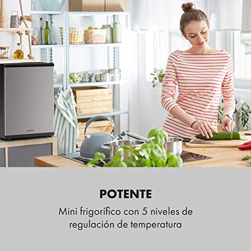 Klarstein Beerbauch Minibar - Nevera, Nevera para habitación, 65 l, Eficiencia energética de clase A, Termoeléctrico, Silencioso, Regulación de temperatura en 5 niveles, 12 alturas, Plateado