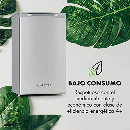 Klarstein Garfield XL Silver Edition - Congelador, Clase de eficiendcia energética A+, Volumen interior 75 L, Temperatura graduable en 4 niveles, Pies regulables, Sonido 39 dB, Gris/plateado