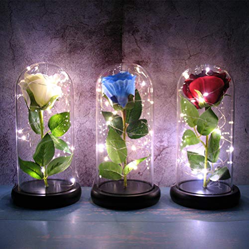 La Bella y La Bestia Rosa,Kit de Rosa Eterna Luz LED Rosa Encantada en Cúpula Vidrio Rosas de Seda para Día la Madre Día de San Valentín Aniversario Bodas Símbolo de Amor Roja (Flor Blanco)