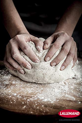 Lallemand Levadura seca – Paquete de 500 gramos de levadura instantánea – Levadura en polvo con calidad de panadería profesional