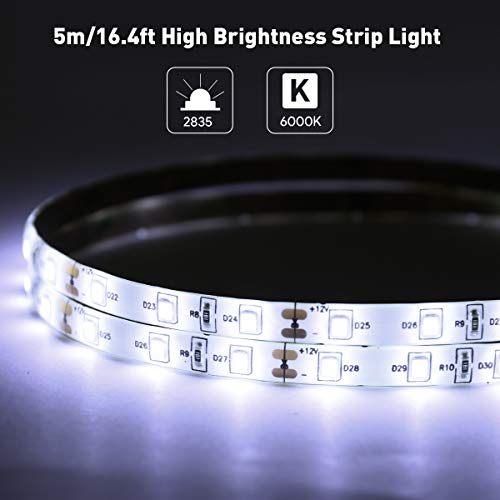 LE Tira LED, Cadena de Luces, 5m 300 LED SMD 2835, Blanco Frío, Resistente al Agua IP65, para Techo, Muebles, Cocina etc.