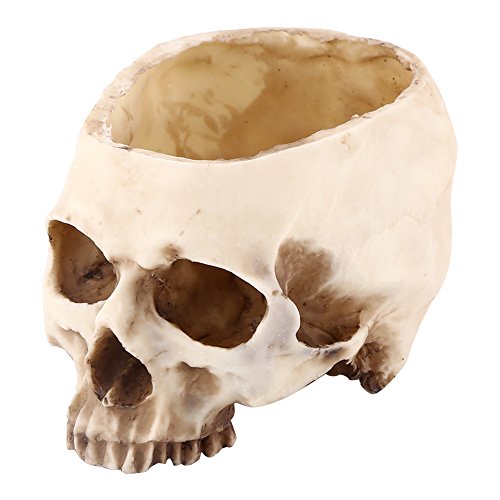Maceta con forma de calavera, contenedor de maceta de calavera humana para decoración de escritorio de oficina en casa
