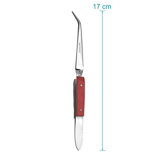 May – Juego de 3 pinzas de soldadura, pinzas en cruz, pinzas industriales, pinzas técnicas, punta acodada, acero inoxidable