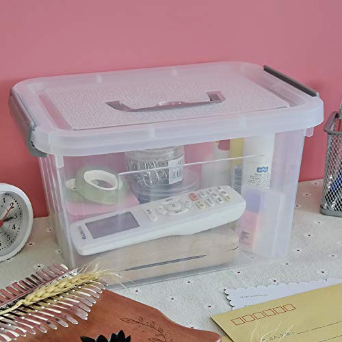 Minekkyes Caja de Almacenamiento Transparente de PláStico, Contenedor con Tapa, Paquete de 6