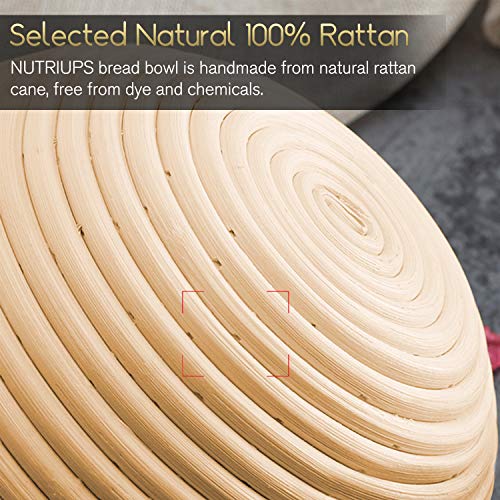 NUTRIUPS Cuenco para masas, Cesta de Pan Redondo Banneton, Banetton para Pan, Prueba de Masa Agria, mit Stoffeinlage, Raspador, Cojo, Cepillo - Cesta Grande Natural para Panadero Casero (25 cm)