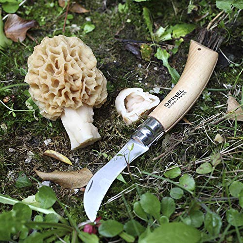 Opinel Navaja, Acero Inoxidable, Gris, 8