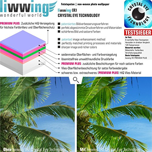 Papel pintado fotográfico para puerta, 100 x 211 cm, lámina autoadhesiva o fieltro, para puerta, panel de puerta, imagen de playa 165, Multicolor