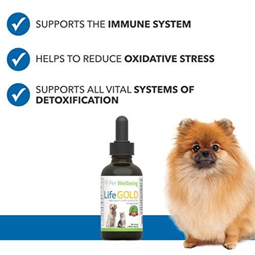 Pet Wellbeing - La Vida De Oro para Perros - Ayuda del Cáncer Natural para Perros - 2 Onzas 59 Mililitros