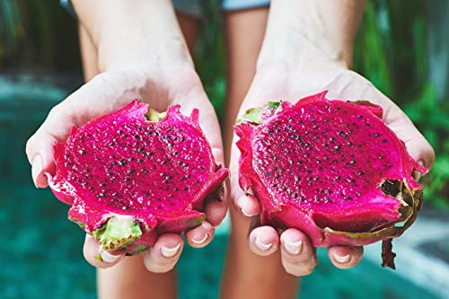 Pink Pitaya - Polvo liofilizado de pitahaya roja - Vegano - Sin gluten - Colorante alimentario rosa natural - Peso neto: 50g