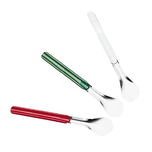 Pintinox - Cuchara para servir helado con mango de plástico - Ideal para bares, restaurantes, heladerías