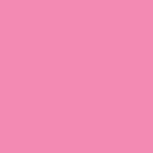 PME - Colorante Alimentario 100% natural - Rosa, 25 g