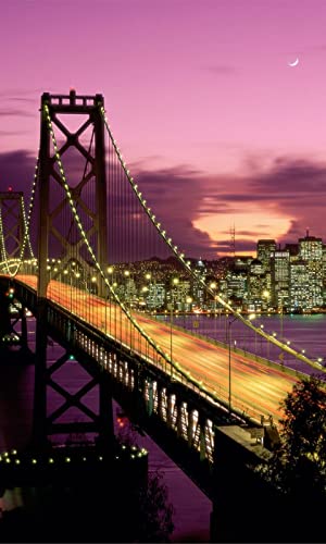Puentes Live Wallpaper