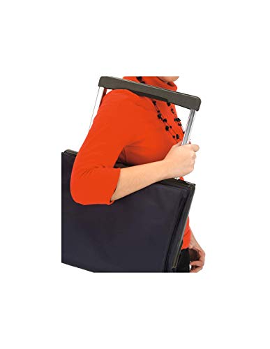 Rolser Einkaufsroller Plegamatic Classic Carro Compra, Metal, Bassi, 42 x 27 x 97 cm 43 L