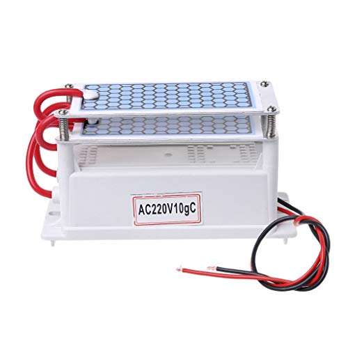 S-TROUBLE 10g / h DC12V / AC220V Generador de ozono portátil Ozonizador de cerámica Integrado