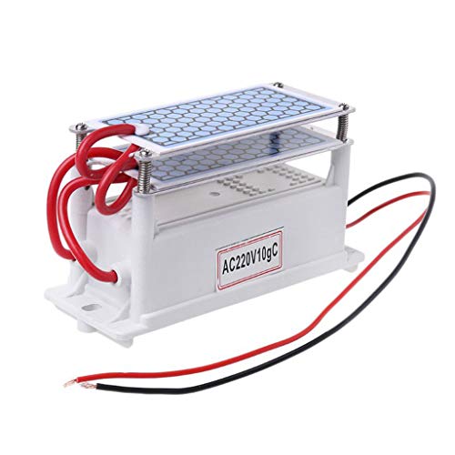 S-TROUBLE 10g / h DC12V / AC220V Generador de ozono portátil Ozonizador de cerámica Integrado
