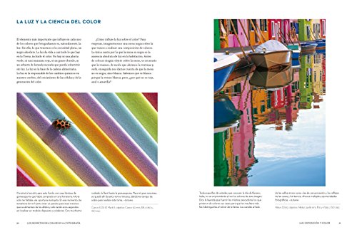 Secretos del color en la fotografía,Los: El uso del color, la composición y la exposiciónen la creación de vívidas fotografías