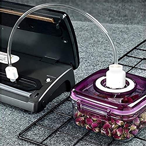 Sellador del vacío Sous Vide Inicio sellador al vacío de la máquina, de vacío Pequeño automática hogar sellado de la máquina de carne, verduras, frutas Preservación | certificada for seguridad | Plata