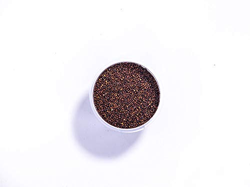 SEMILLA DE BROTE BRÓCOLI | 100 gr.- 500 gr. - 1 kg. | 300 semillas/gramo (grande, 1 Kg.)