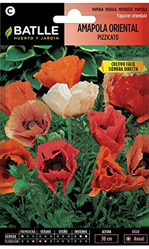 Semillas de Flores - Amapola Oriental Pizzicato - Batlle