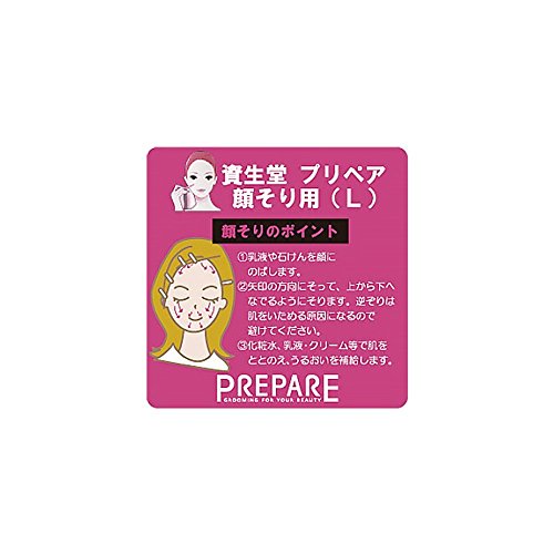Shiseido 3 piezas Preparar Razor facial, grande (Japón Importación)