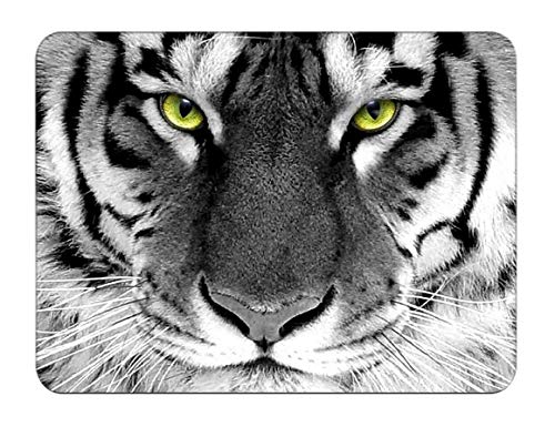 Silent Monsters Alfombrilla ratón Ordenador tamaño S (240 x 200 mm) Mouse Pad pequeña, diseño Tigre, Adecuado para ratón de Oficina y para Gaming