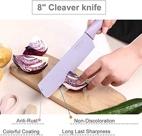 SP-Cow 6 Piezas Juego de Cuchillos de Cocina, 5X Cuchillos de Acero Inoxidable y 1x Cuchillo pelador de Verduras de cerámica,Acero Inoxidable Duro, Equipado con Mango Cómodo,en Diversos Colores