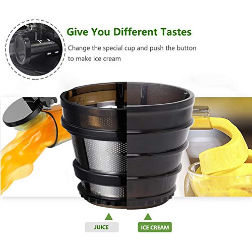 Taylor Swoden Slow joy - Licuadora de prensado en frío丨Licuadora de extracción lenta para zumos, helados y smoothies丨Motor silencioso 55 rpm丨2 Filtros incluídos 丨Fácil limpieza丨Libre de BPA