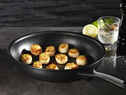 Tefal E4400485 Sartén Talent Pro E44004, 24 Cm, Titanium Excellence, Metal, Negro
