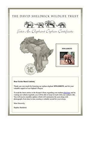 The Leonardo Collection 'Out Of Africa' - Figura de elefante africano joven (diseño realista, 13 cm, alto)