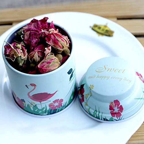 TooGet Elegantes Latas Vacías, Shabby Chic Mini-Cajas para Velas DIY, Almacenamiento en Seco, Especias, Té, Dulces, Regalos para Fiestas, Y Regalos - Color Al Azar - 6PCS