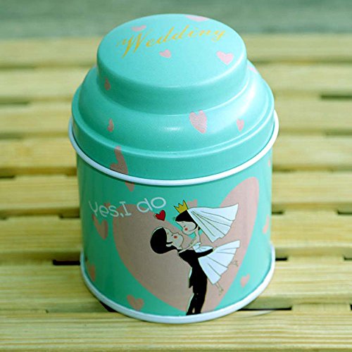 TooGet Elegantes Latas Vacías, Shabby Chic Mini-Cajas para Velas DIY, Almacenamiento en Seco, Especias, Té, Dulces, Regalos para Fiestas, Y Regalos - Color Al Azar - 6PCS