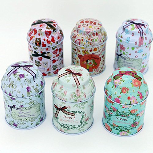 TooGet Elegantes Latas Vacías, Shabby Chic Mini-Cajas para Velas DIY, Almacenamiento en Seco, Especias, Té, Dulces, Regalos para Fiestas, Y Regalos - Color Al Azar - 6PCS
