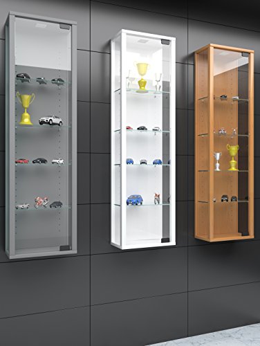 VCM 911788 - Vitrina de pared, vidrio, sin iluminación, Plata, mini