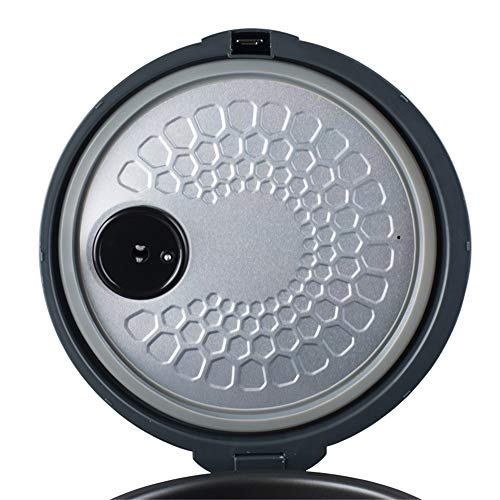Vogvigo 5L Fermentador de Ajo Negro Control Automático Inteligente Completo Fabricante de ajo Fabricante de Alimentos Saludables (B)