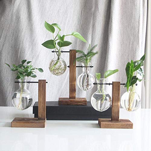 WOOAI Decoración nórdica Florero de bonsái de Vidrio de sobremesa con Bandeja de Madera Floreros de Plantas hidropónicas Florero de Vidrio Vintage, 02
