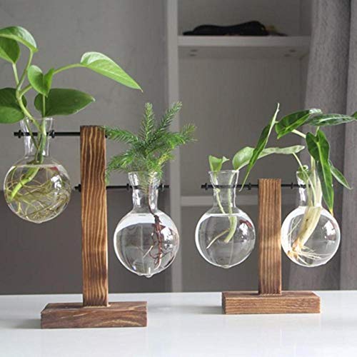 WOOAI Decoración nórdica Florero de bonsái de Vidrio de sobremesa con Bandeja de Madera Floreros de Plantas hidropónicas Florero de Vidrio Vintage, 02
