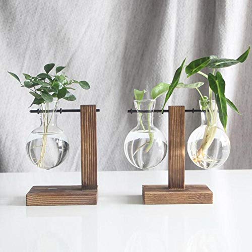 WOOAI Decoración nórdica Florero de bonsái de Vidrio de sobremesa con Bandeja de Madera Floreros de Plantas hidropónicas Florero de Vidrio Vintage, 02