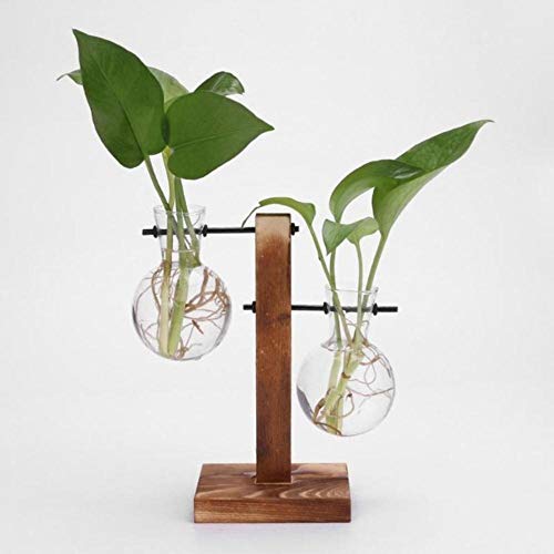 WOOAI Decoración nórdica Florero de bonsái de Vidrio de sobremesa con Bandeja de Madera Floreros de Plantas hidropónicas Florero de Vidrio Vintage, 02